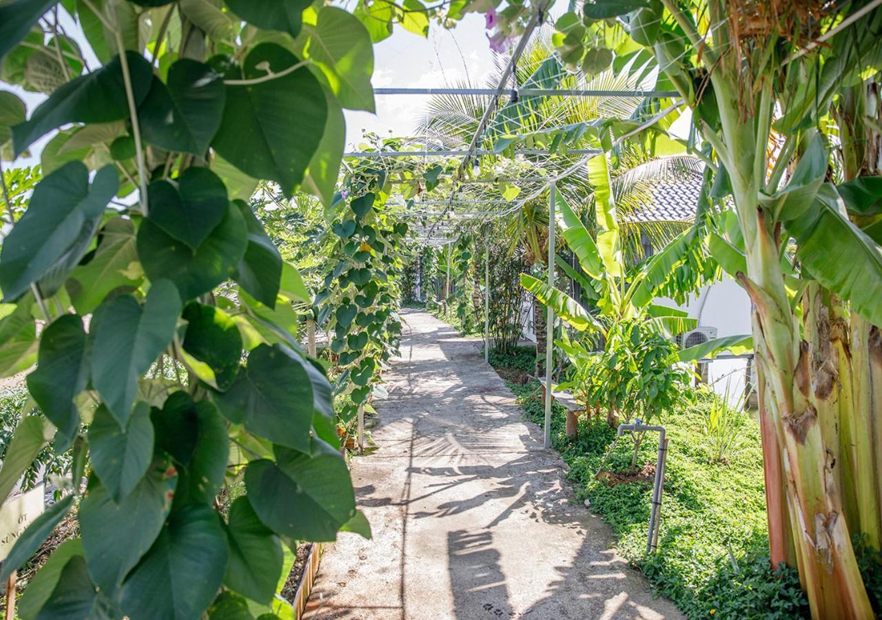 Lua Farmstay Bà Rịa Eksteriør bilde